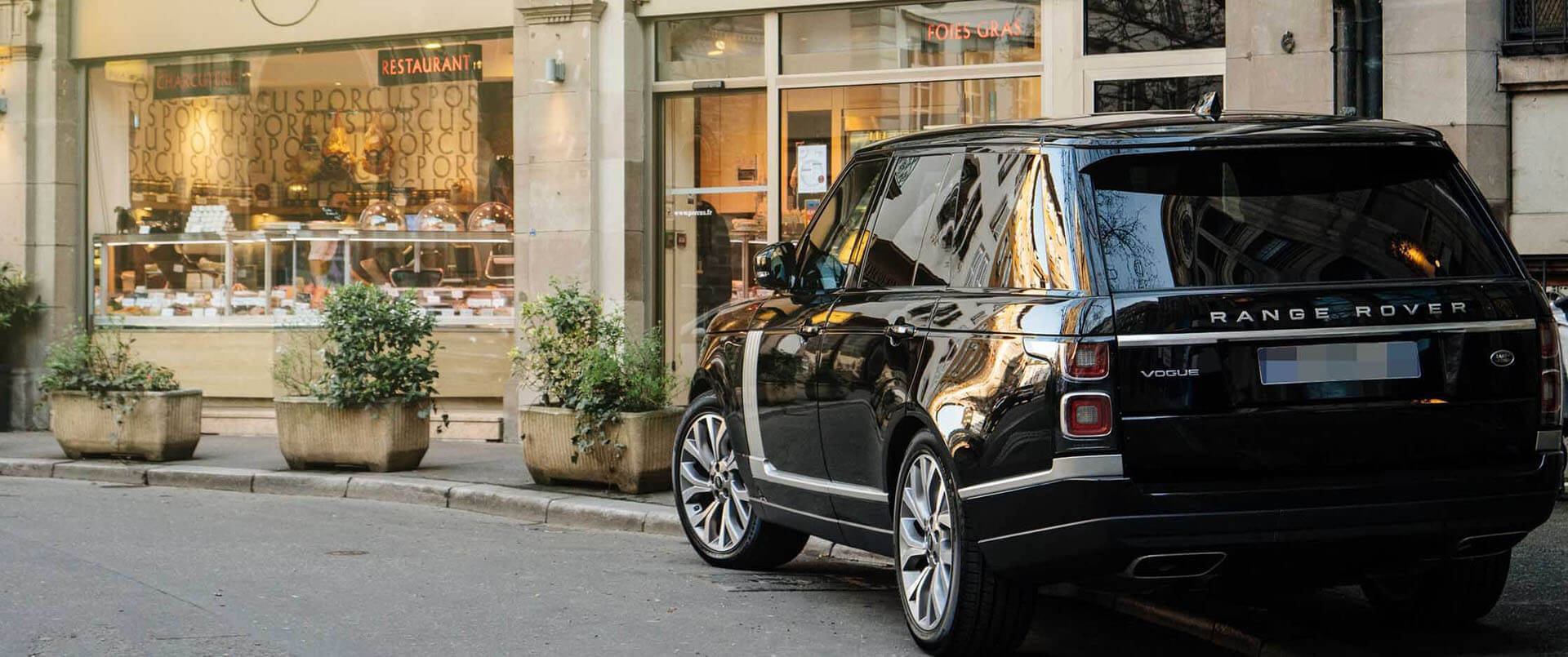 Professional security consultancy